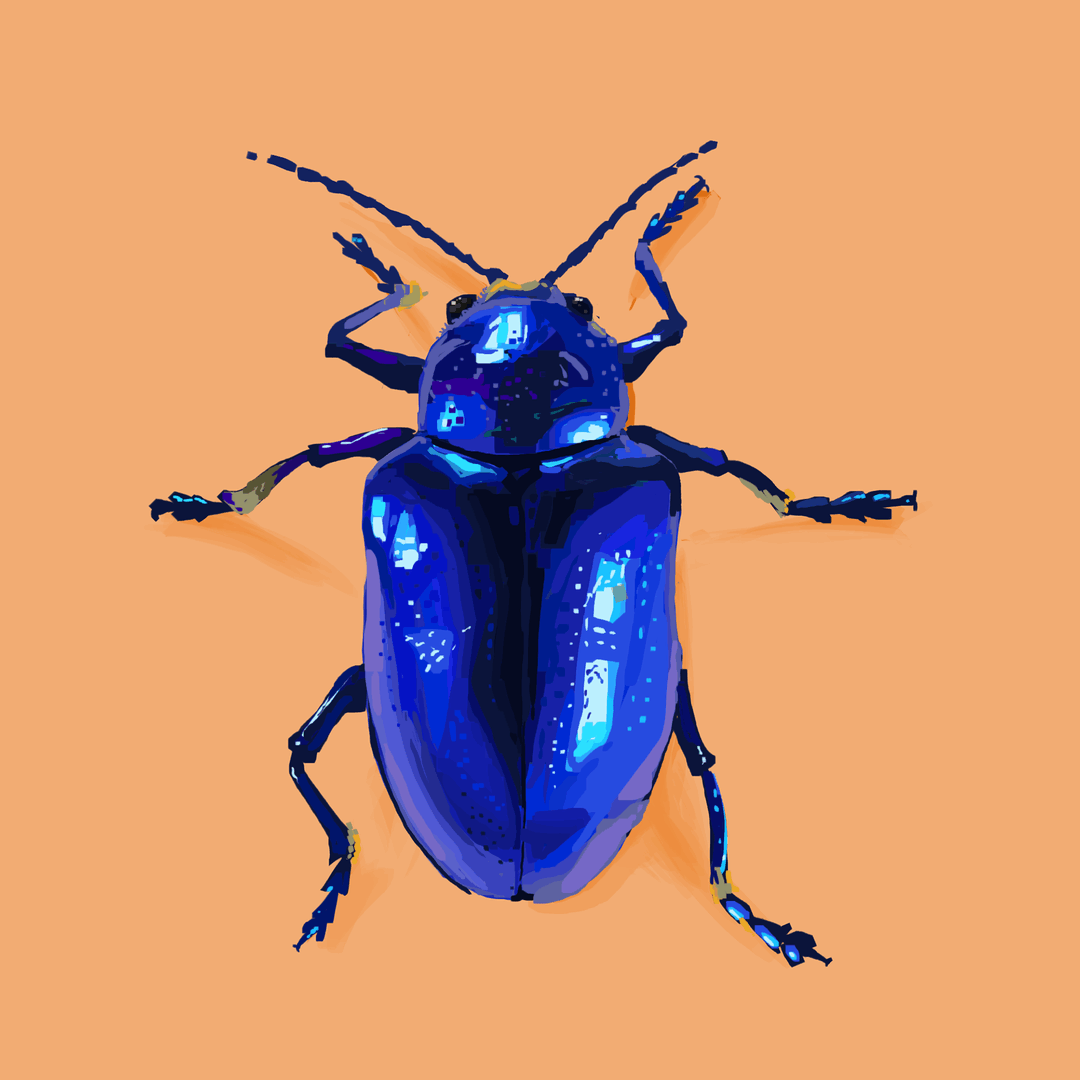 14f4b25f-5076-4e2c-a568-e06fd2a531bf_rw_1920