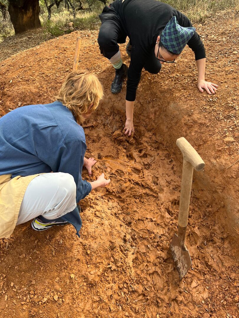 a59a97d8-dd11-46fe-9faa-5c9cfdcb1fca