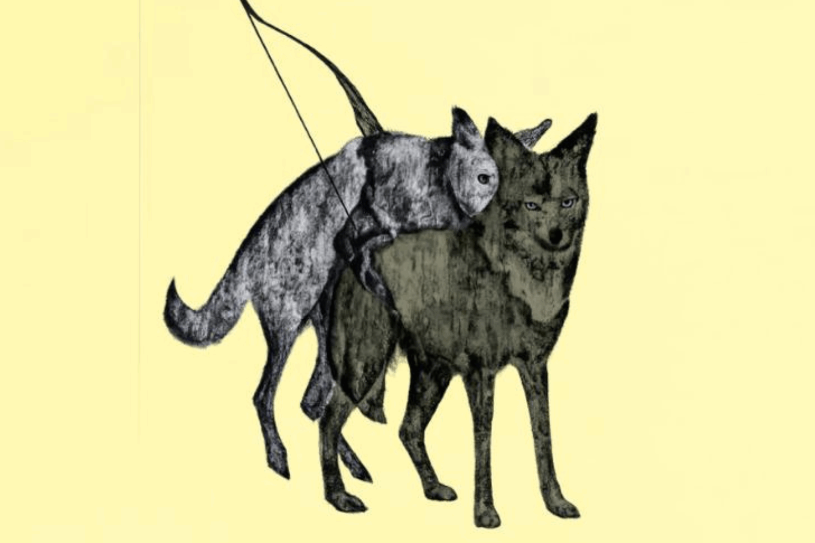 Aangeschoten Wild, het chapbook van WOLK'er Trijntje van de Wouw, verschijnt op 28 maart