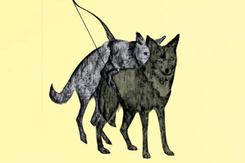 Aangeschoten Wild, het chapbook van WOLK'er Trijntje van de Wouw, verschijnt op 28 maart