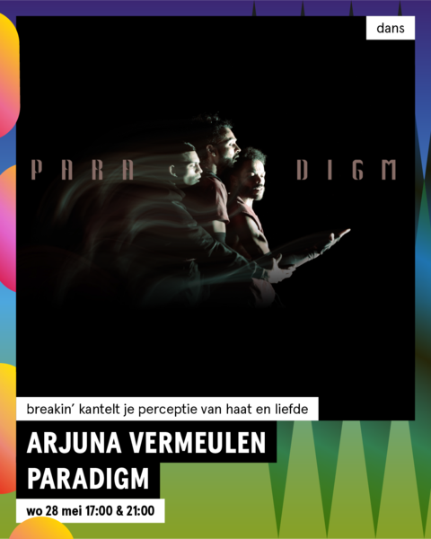 Arjuna Vermeulen - Paradigm