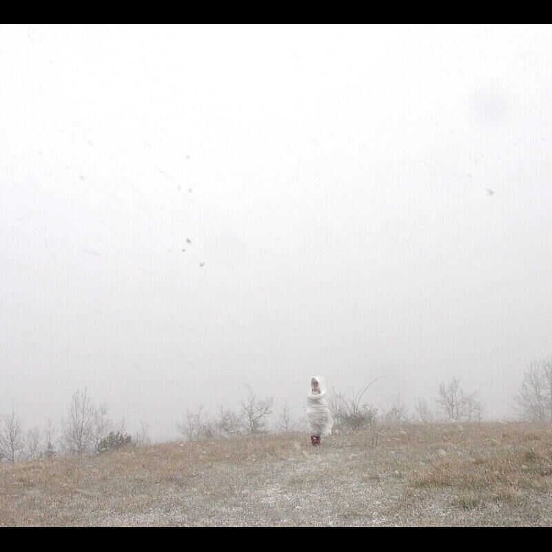 Berendine werk 2 bewerkt