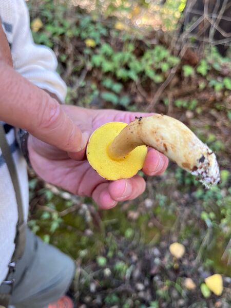 Lokale dieren en natuur eren