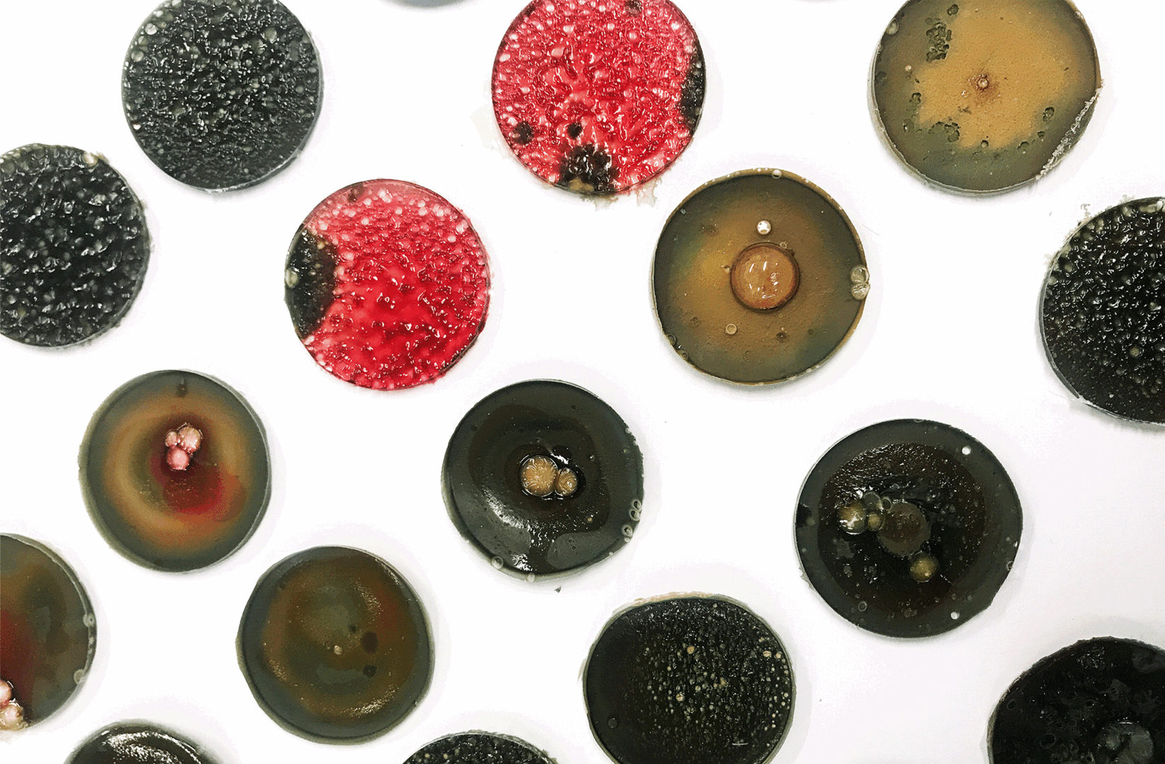 Time Pieces_Chronomaterials SMALL